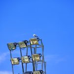 Prachtige metalen vogelkroonluchter voor kinderen